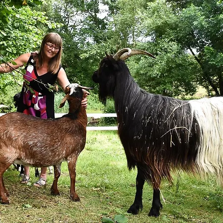 Avernako Hotel Faaborg